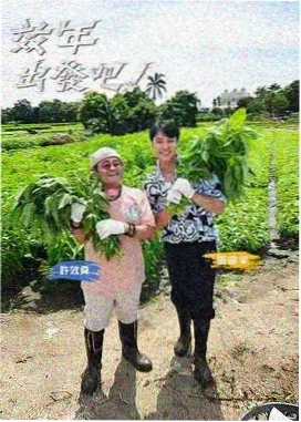 声生不息